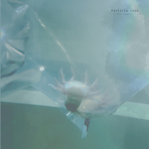 欧美人妖群交FREEX
